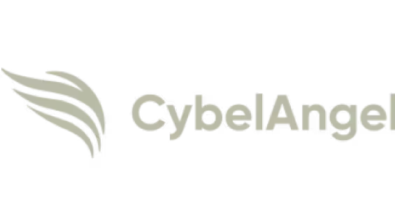 CybelAngel